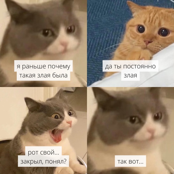 Весёлый полтишок 14.04.22