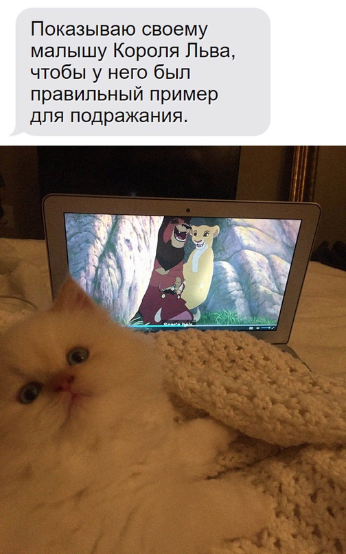 Картинки и мемы, всем хороших выходных