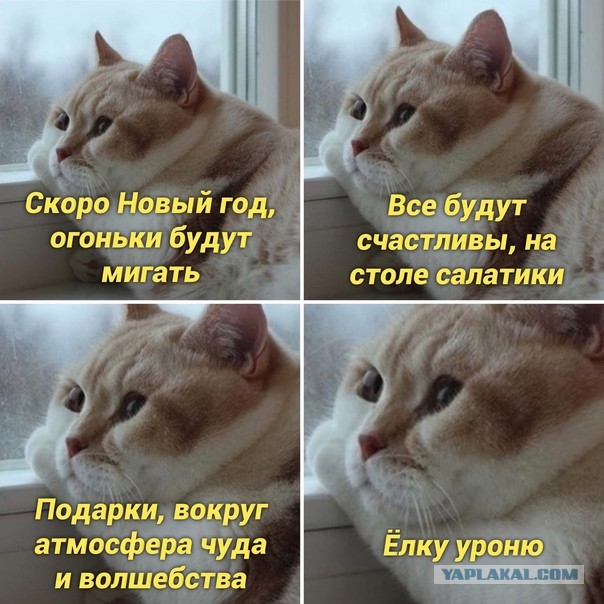 Юмор в картинках и без 04.10.2022