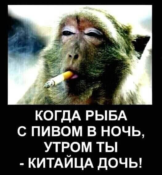 Юмор в картинках и без
