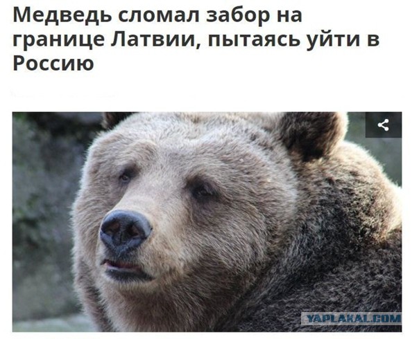 Неожиданно