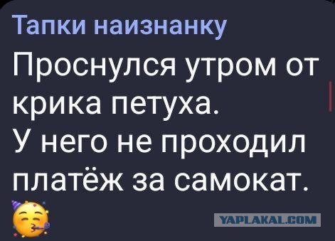 Самокатчик насмерть разбился, влетев в яму в асфальте на Народного Ополчения
