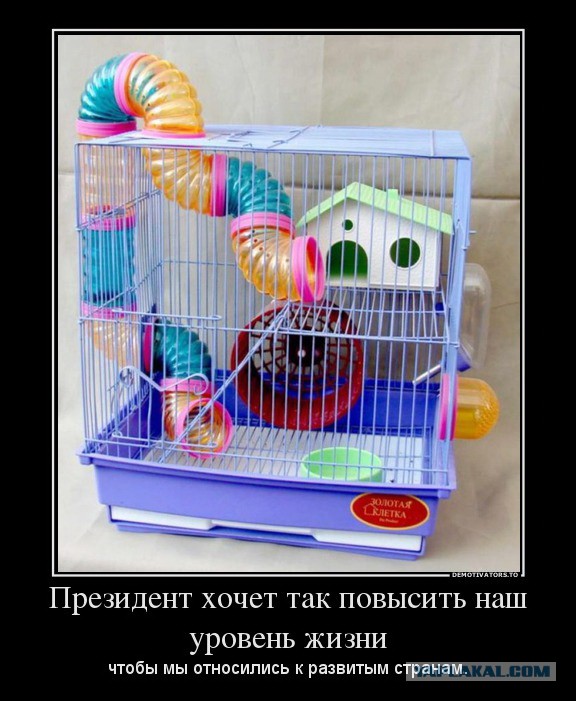Всё о Туркменистане