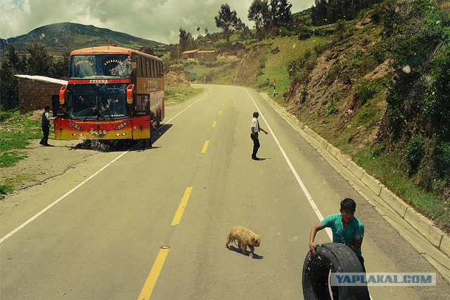 Латинская америка: правила жизни в путешествии