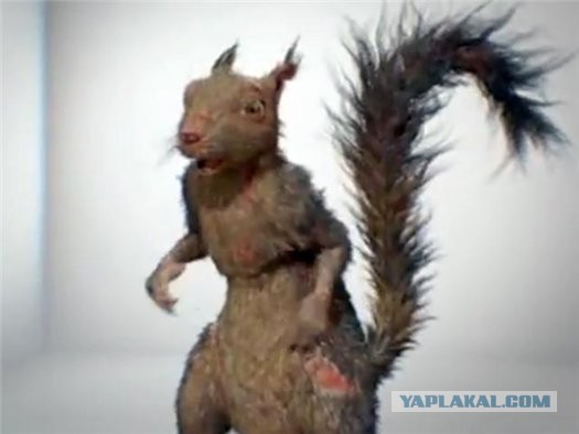 Cпасение крохотного бельчонка.