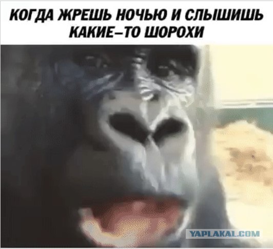 Юмор в картинках и без
