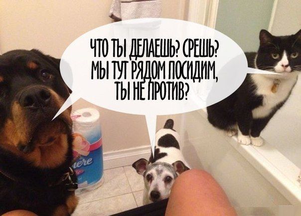 Картинки и буквы 20.06.2020