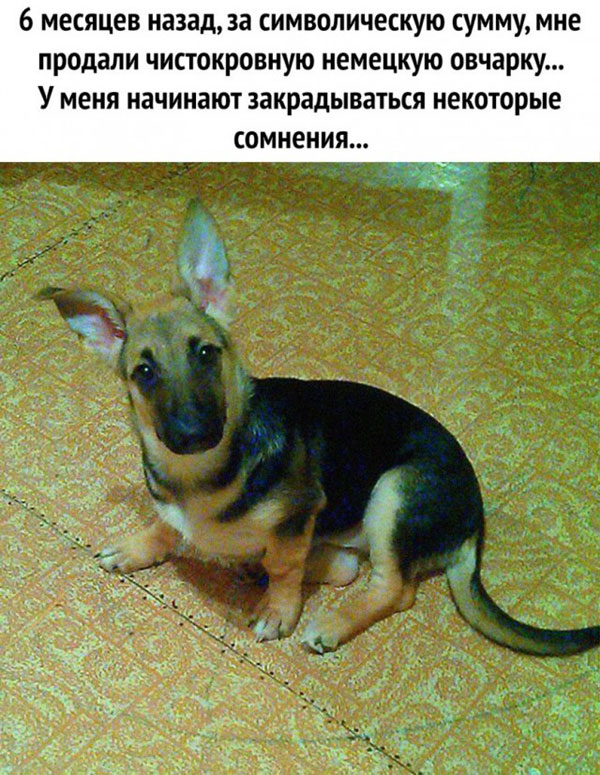Последняя пятница на этой неделе, господа