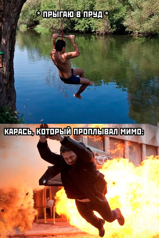 Весёлый полтишок 26.07.24