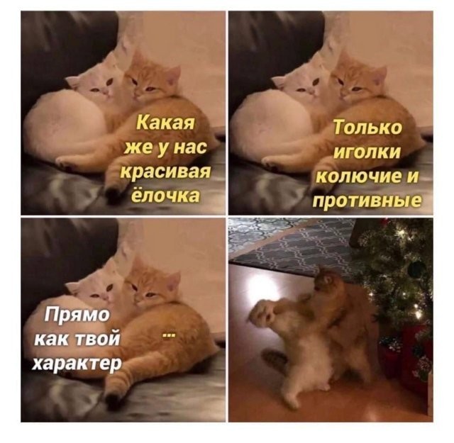 Весёлый полтишок 27.08.24