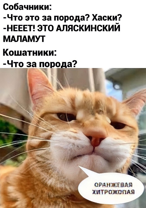 Картинки разные с надписями и без