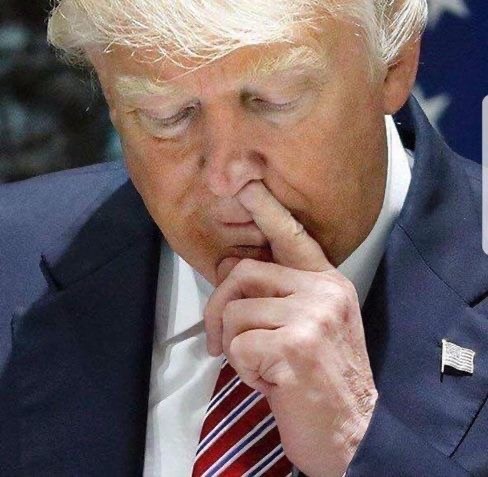 Подобрались тут мемы по мотивам ссоры Илона Маска и Дональда Трампа