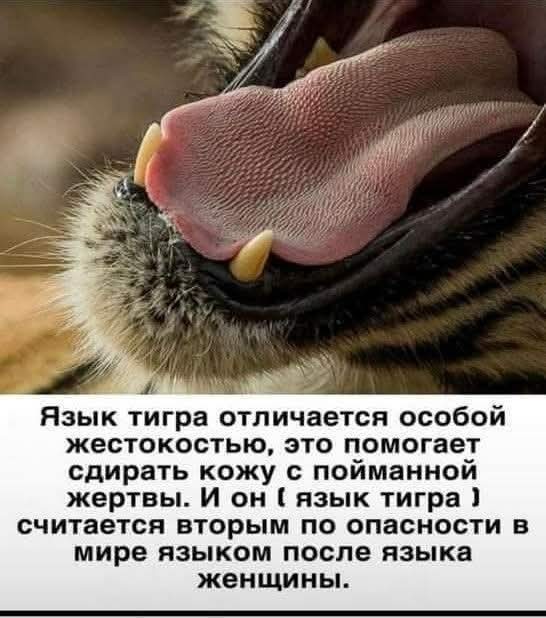 Веселое настроение в картинках (04.08.2025)