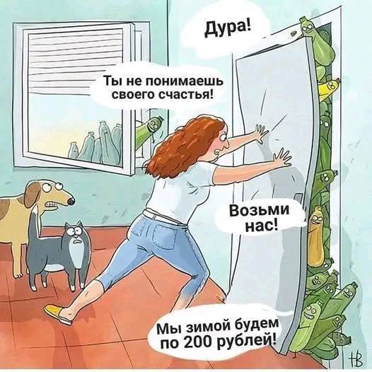 Кабачки в сезон