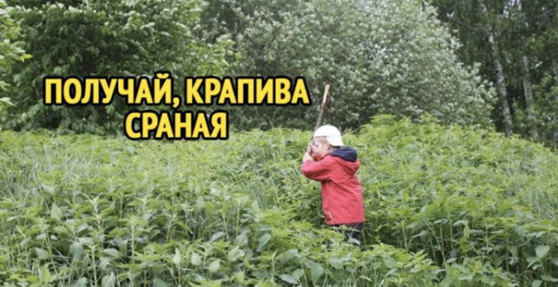 Игрушки у современных детей