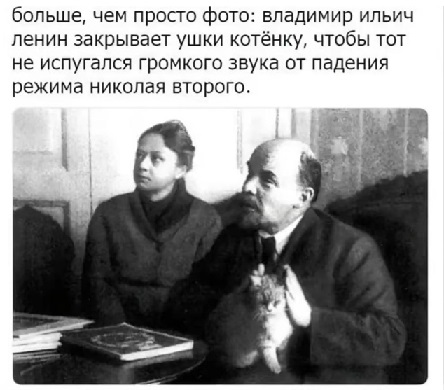 К котовторнику: подборка картинок-баянов с котиками и про котиков. Выпуск 19.