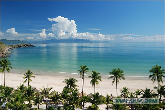 Отпуск в Сочи