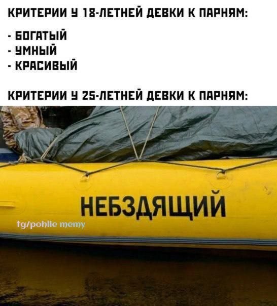 Картинки для деградации 79 (разной степени свежести)