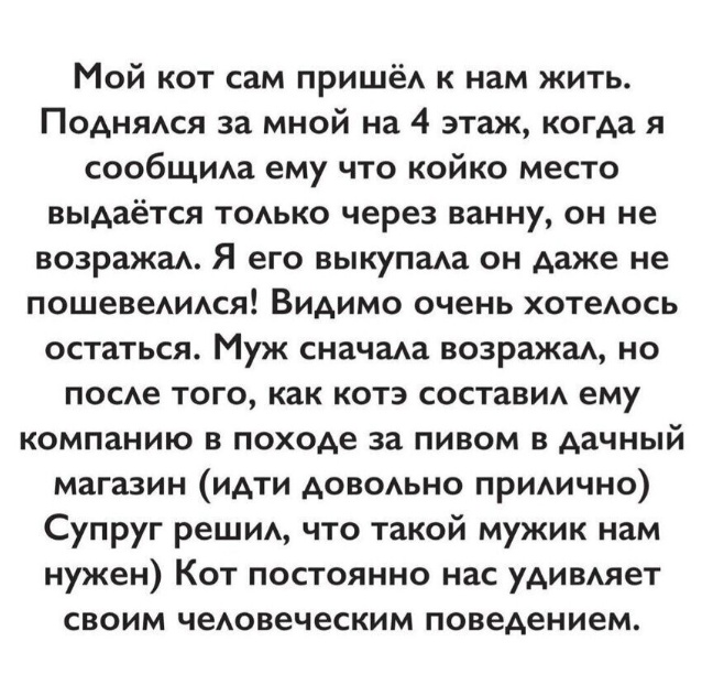 Картинки для деградации 110 (разной степени свежести)