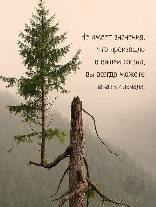 Четверговые картинки