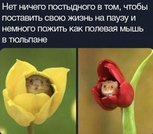 Картинки старые и новые