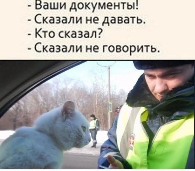 Кого нужно с собой возить, чтобы не было проблем с ДПС