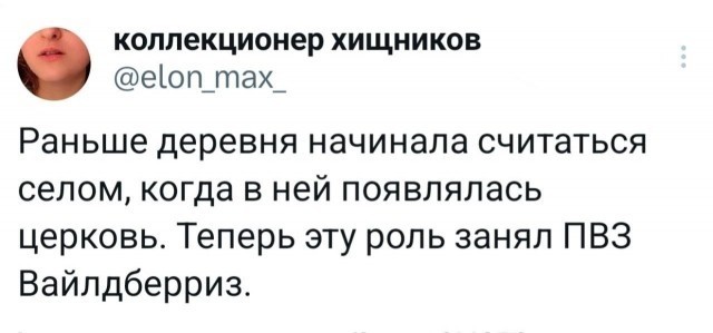 Потная гамсахурдия №7