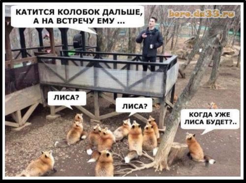 Колобок на миллиард