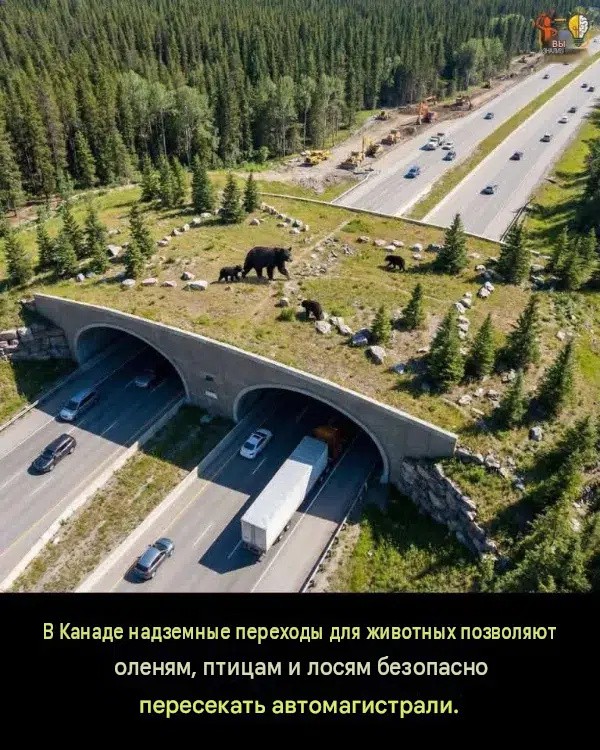 Интересные пятничные фотографии со всего мира