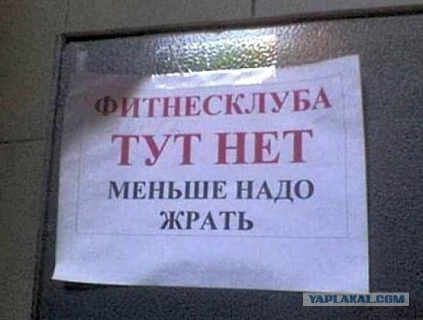 Сажусь на диету из-за брылей и живота с чего лучше начать