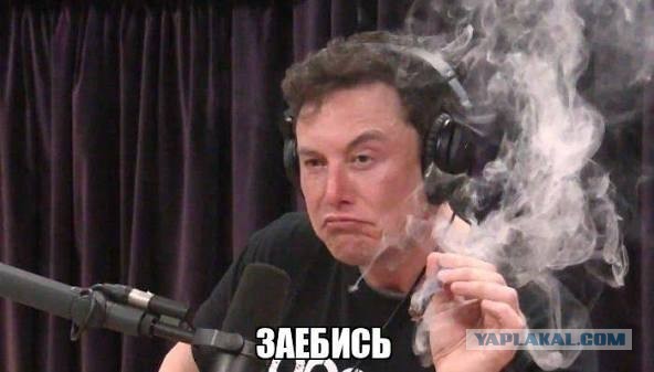 Семь месяцев исправительных работ в качестве кешбэка за покупку питбайка