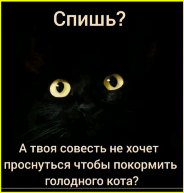 К котовторнику: подборка картинок-баянов с котиками и про котиков. Выпуск 47.