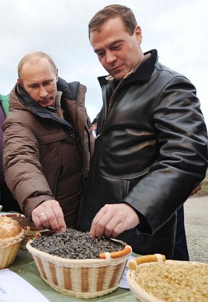 Полное взаимопонимание с первого взгляда!