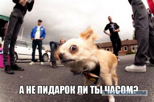 ААА! Что это там за его спиной маячит?