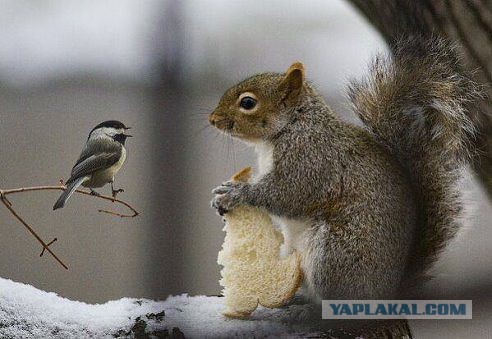 Позитивные картинки