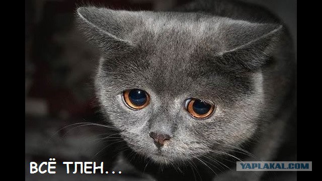 Гостиная 70-х, СССР