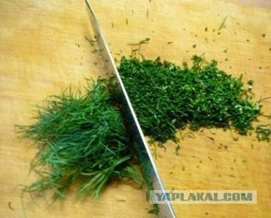 Молния от Стрелкова: огромные колонны украинских в