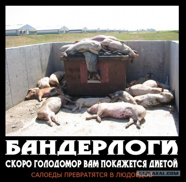 Война не повод для смеха, но....