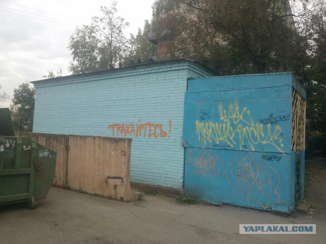 Подборка весёлых картинок