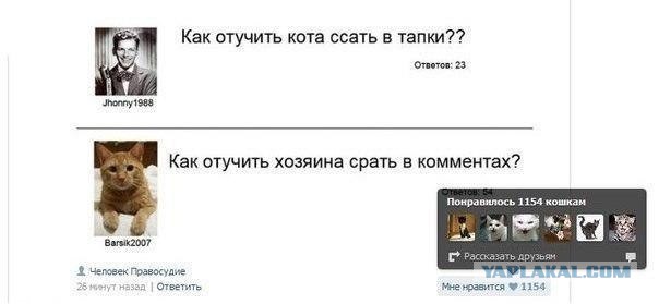 Смешные комментарии из социальных сетей
