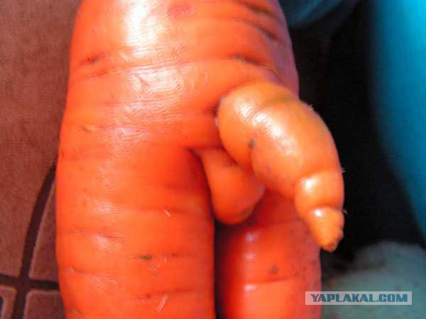 26 продуктов, которые отчаянно не хотят