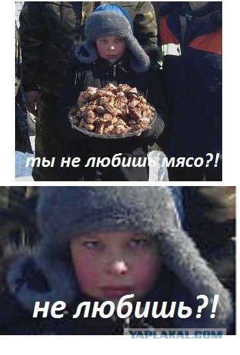 Вегетарианство