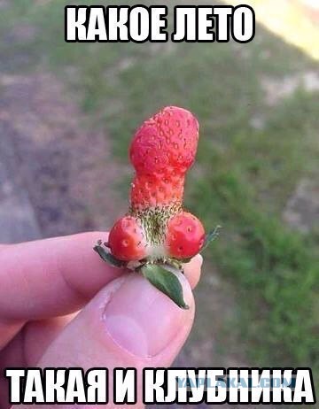 Смешные картинки №...дцать