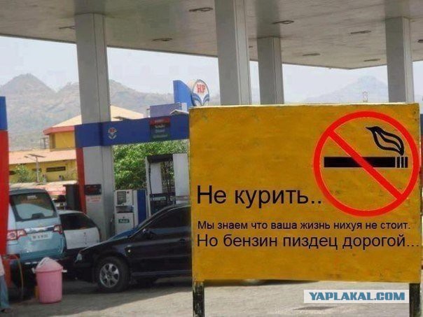 Плюшкиным посвящается