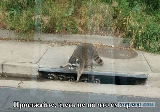 Картинки на субботу