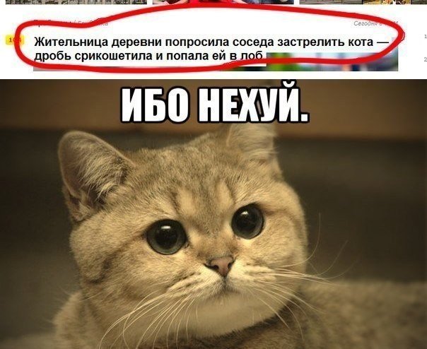 Картинки на пятницу