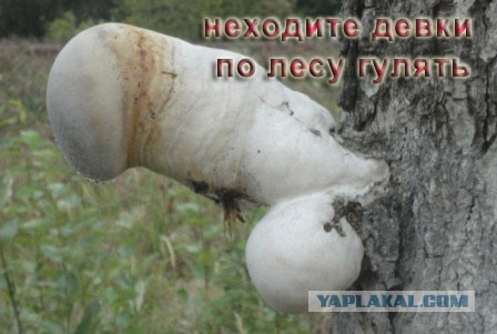 Картинки разные с просторов
