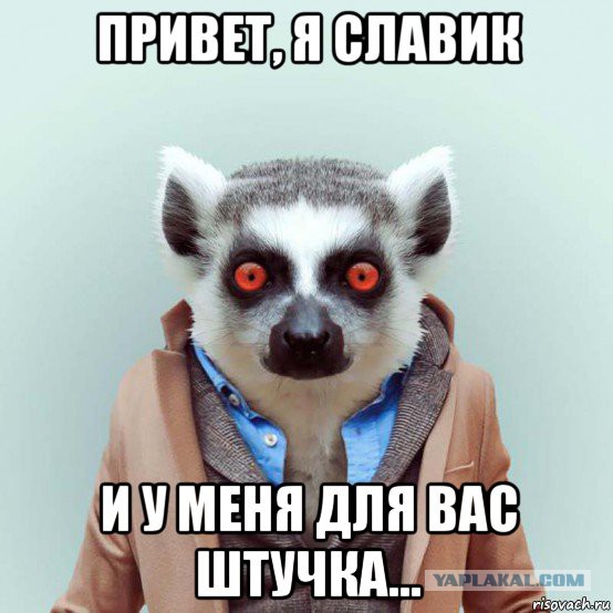 У меня грустные новости для соЯПовца. Слава Новиков тут есть?