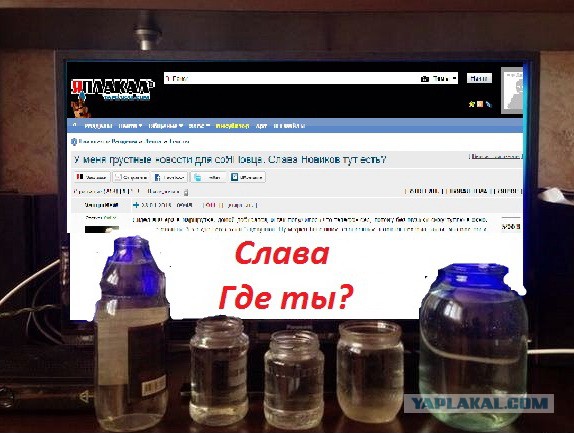 У меня грустные новости для соЯПовца. Слава Новиков тут есть?
