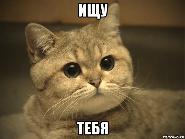 Давутоглу надеется, что туристы из России снова начнут ездить в Турцию